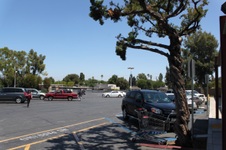Enlarge photo 55
