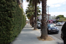 Enlarge photo 21