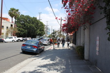 Enlarge photo 39