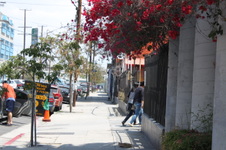 Enlarge photo 40