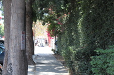 Enlarge photo 51