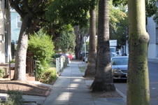 Enlarge photo 28