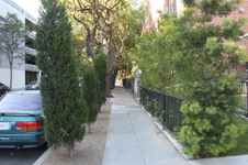 Enlarge photo 31