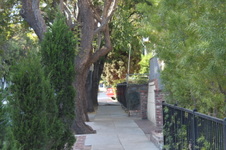 Enlarge photo 32