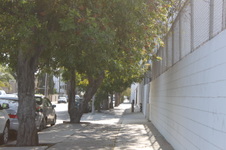 Enlarge photo 34