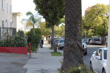 Enlarge photo 48