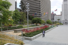 Enlarge photo 30
