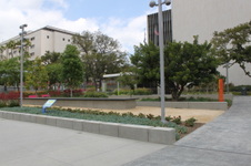 Enlarge photo 35