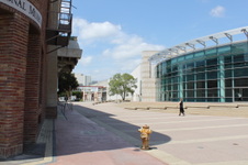 Enlarge photo 10