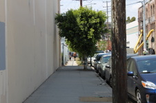 Enlarge photo 5