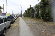 Enlarge photo 54