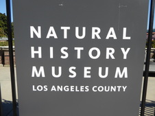 Natural History Museum of Los Angeles