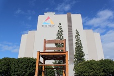 LA Mart / The Reef