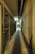 Enlarge photo 154
