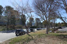 Enlarge photo 5