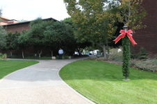 Enlarge photo 126