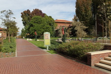 Enlarge photo 133