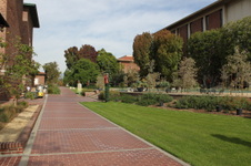 Enlarge photo 135