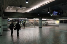 Enlarge photo 62