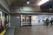 Enlarge photo 65