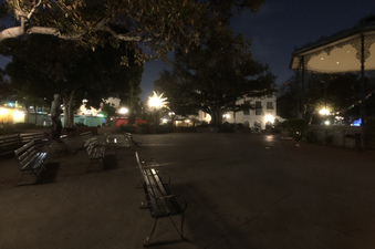Enlarge photo 64