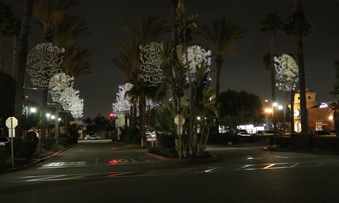 Enlarge photo 54