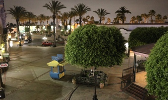 Enlarge photo 37