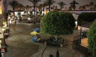 Enlarge photo 43
