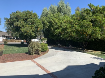 Enlarge photo 4