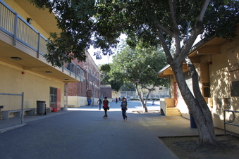 Enlarge photo 48