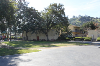 Enlarge photo 59