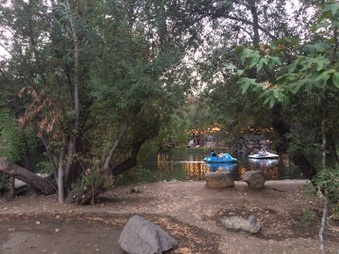 Enlarge photo 15