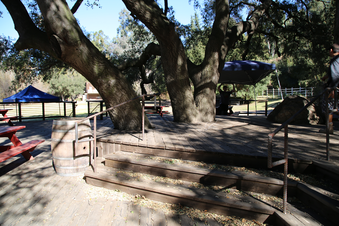 Enlarge photo 104