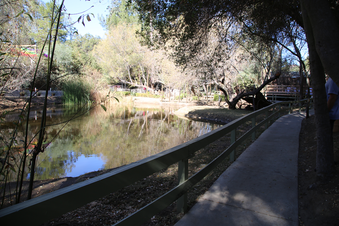 Enlarge photo 115
