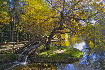 Enlarge photo 19