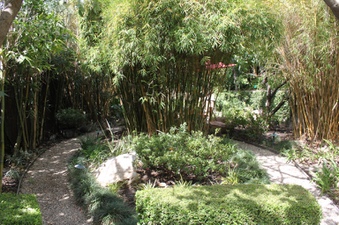 Enlarge photo 53