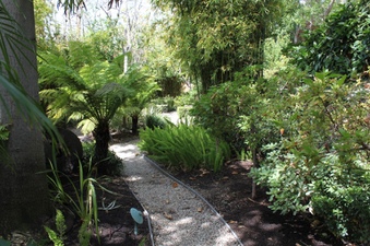 Enlarge photo 59