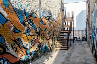 Enlarge photo 97
