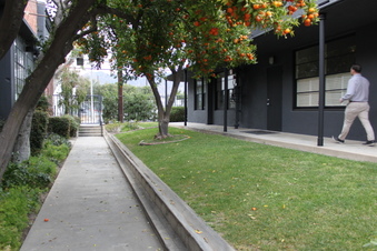 Enlarge photo 91