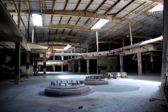 Enlarge photo 51