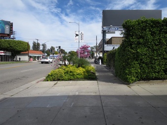 Enlarge photo 5