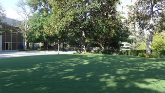 Enlarge photo 25