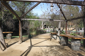 Enlarge photo 187