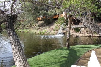 Enlarge photo 190
