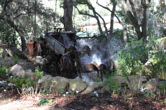 Enlarge photo 193