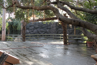 Enlarge photo 195