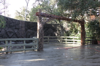 Enlarge photo 197