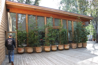 Enlarge photo 14
