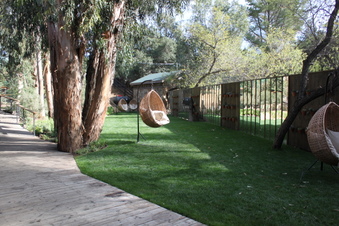 Enlarge photo 215