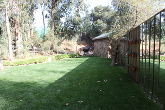 Enlarge photo 217